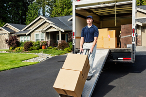 van removals software