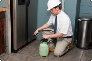 Residential pest exterminator