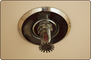 Fire sprinkler