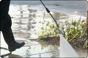 Power Washing Service