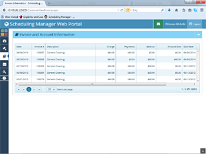 Customer Portal Account History